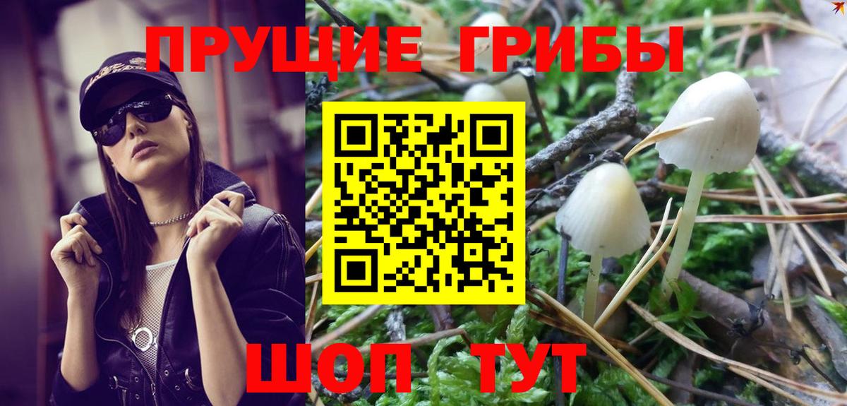Димитровград  Галлюциногенные грибы Psilocybe  Вход с VPN 